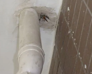 九台漏水检测哪家好